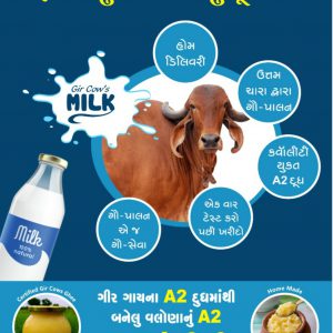 A2 Milk – Desi Gaay nu Dudh