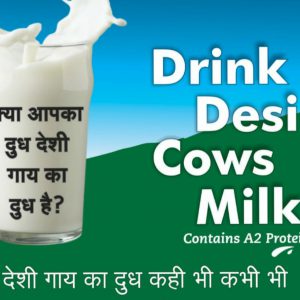 Gir Cow Milk