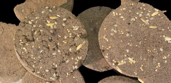 desi gaumay dhoop kanda (chhana) Gaumay Kande